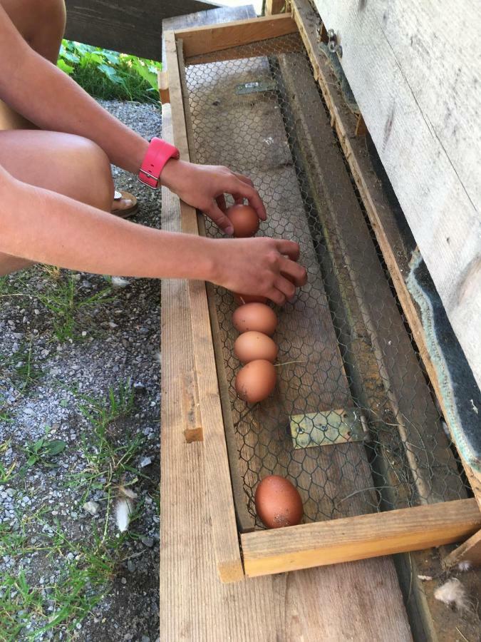 Haus Sonnleitner Lejlighed Ramsau am Dachstein Eksteriør billede