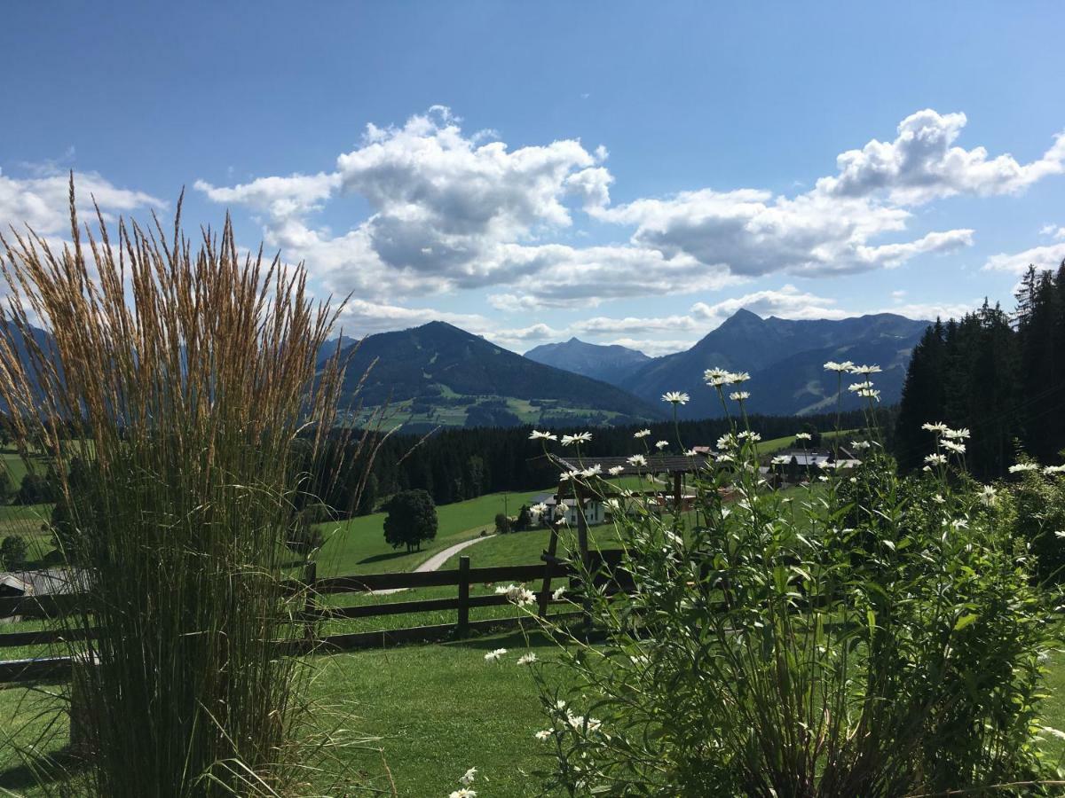 Haus Sonnleitner Lejlighed Ramsau am Dachstein Eksteriør billede